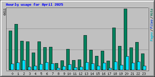 Hourly usage for April 2025