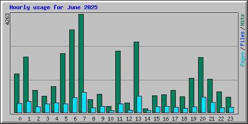 Hourly usage for June 2025
