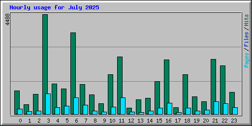 Hourly usage for July 2025